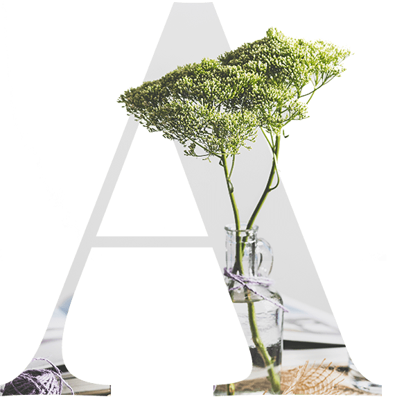 single-image-03 single-image-03